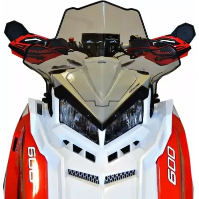 Windshield