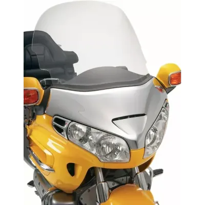 Custom Windshield