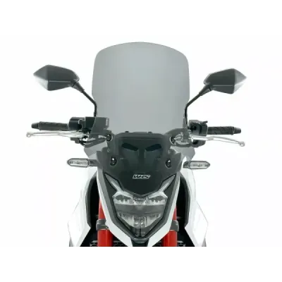 Windscreen