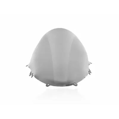 Windscreen