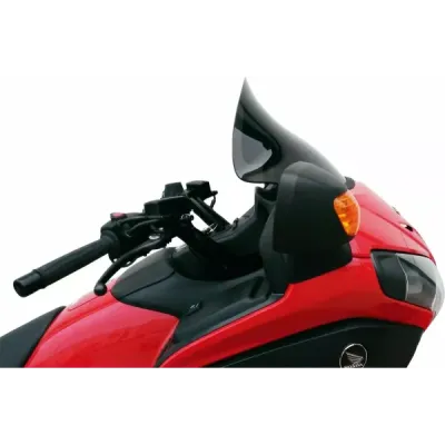 Flare™ Windshield
