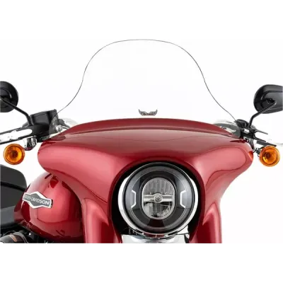 Windshield