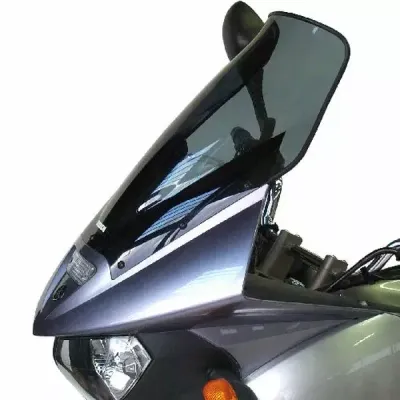 Windshield/Windscreen