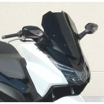 Windshield/Windscreen