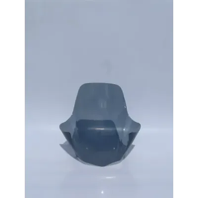 Windshield/Windscreen