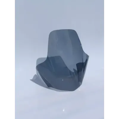 Windshield/Windscreen