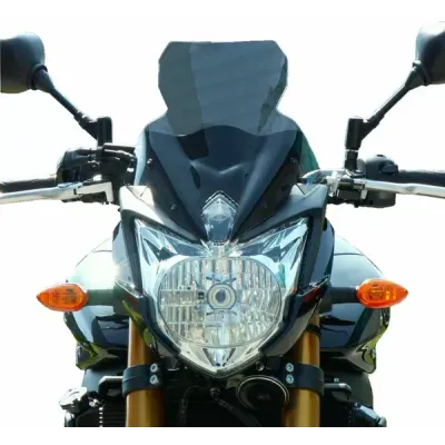Windshield/Windscreen