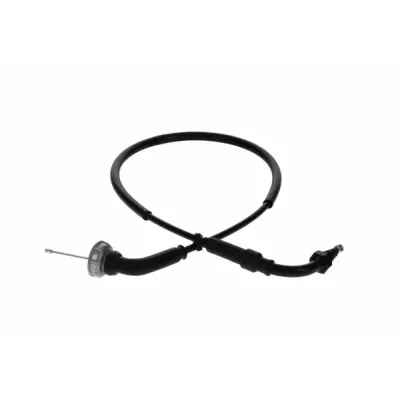 Throttle Cable