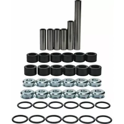 Rear Independent Suspension Linkage Rebuild Kit