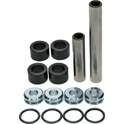 Rear Independent Suspension Linkage Rebuild Kit