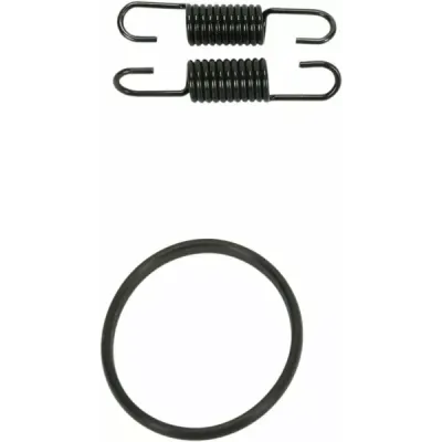Pipe Spring/O-Ring Kit