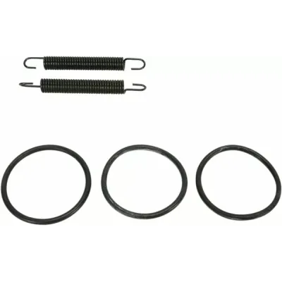 Pipe Spring/O-Ring Kit