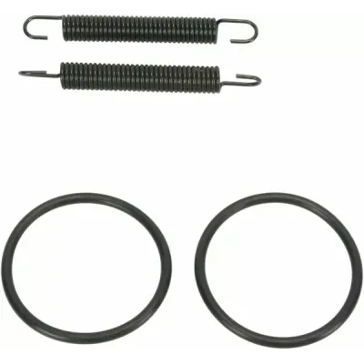 Pipe Spring/O-Ring Kit