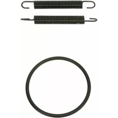 Pipe Spring/O-Ring Kit
