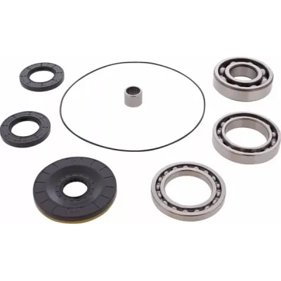 Differential Bearing/Seal Kit