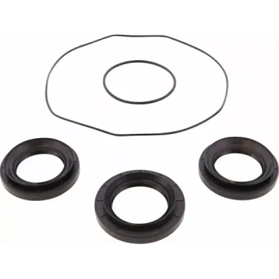 Differential Bearing/Seal Kit