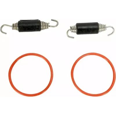 Pipe Spring/O-Ring Kit