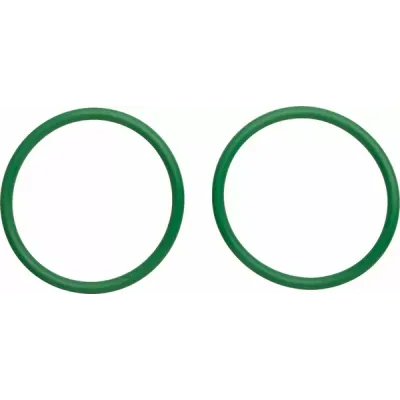 Exhaust O-Rings