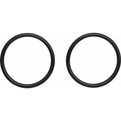 Exhaust O-Rings