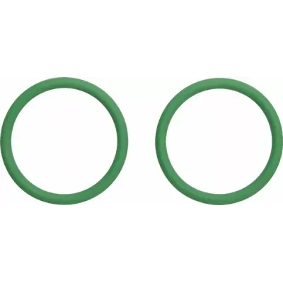 Exhaust O-Rings