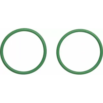 Exhaust O-Rings