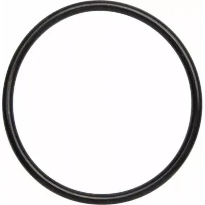 Exhaust O-Rings