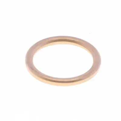 Exhaust Gasket
