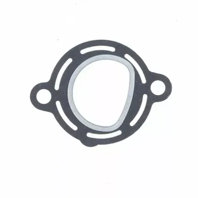 Exhaust Gasket