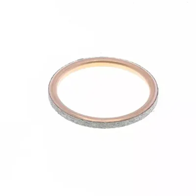 Exhaust Gasket