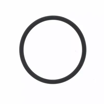 Exhaust Gasket