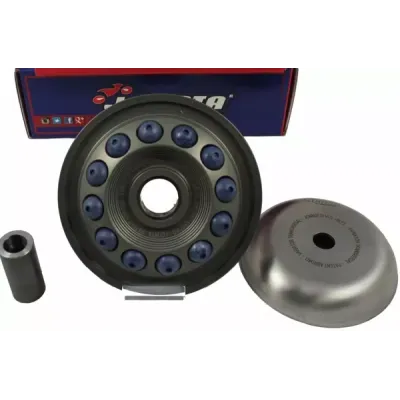 PRO Series Variator
