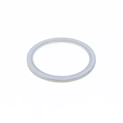 Exhaust Gasket