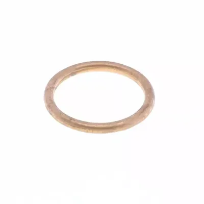 Exhaust Gasket