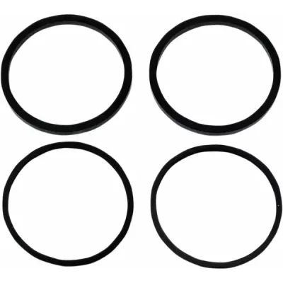 Brake Caliper Seal Kit