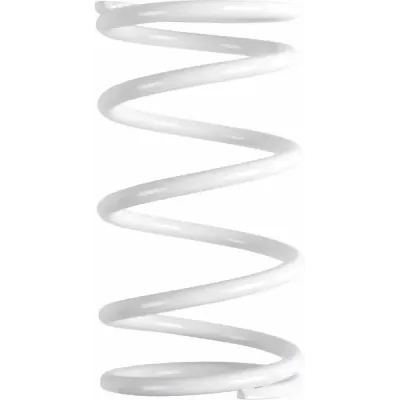 Polaris Primary Clutch Spring