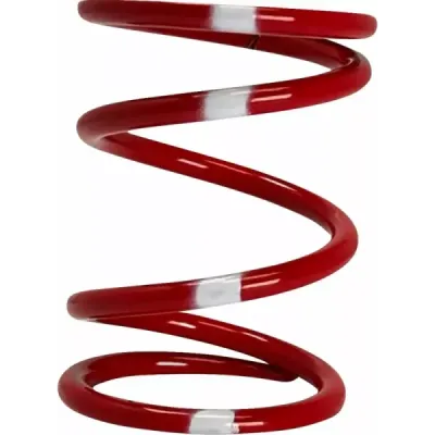 Polaris Primary Clutch Spring