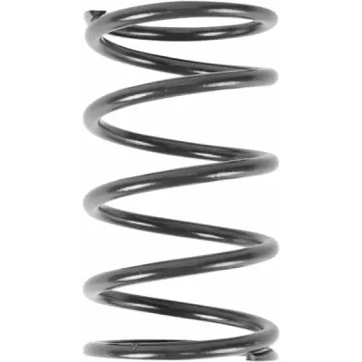 Prima Clutch Spring Polaris