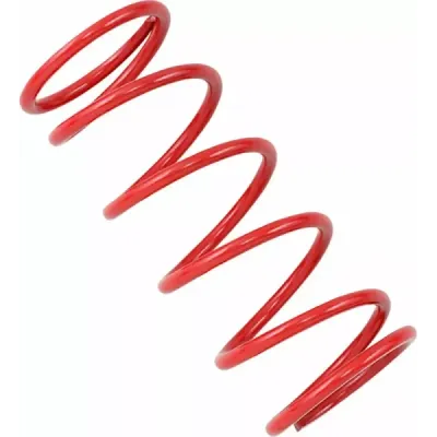Secondary Clutch Spring