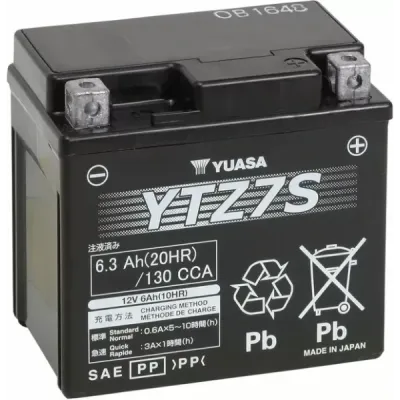 High Performance AGM Maintenance-Free Battery