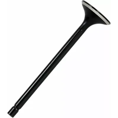 Black Diamond™ Engine Valve