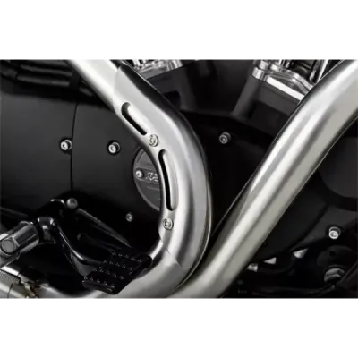 2-into-1 Upsweep Exhaust System