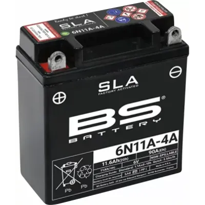 SLA Factory-Activated AGM Maintenance-Free Batteries