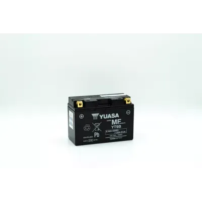 Maintenance-Free Battery