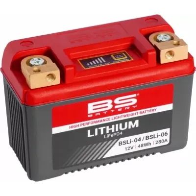 Lithium LiFePO4 Battery