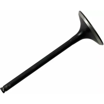 Black Diamond™ Engine Valve