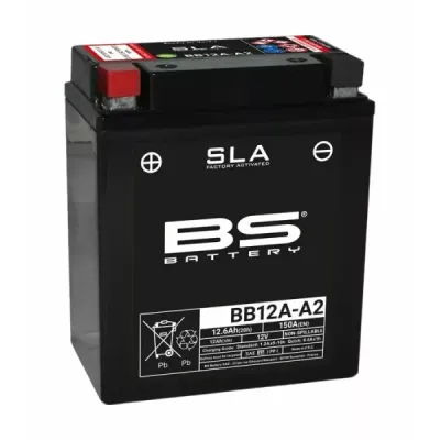 SLA Factory-Activated AGM Maintenance-Free Batteries