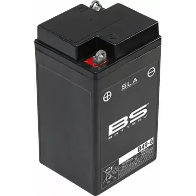 SLA Factory-Activated AGM Maintenance-Free Batteries