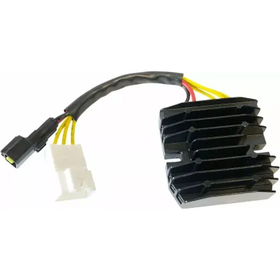 Regulator Redresor compatibil cu litiu-ion Hot Shot