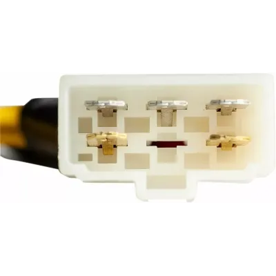 Regulator/Rectificator