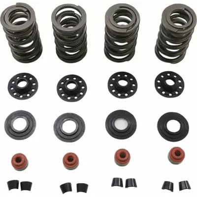Racing Valve Spring Kit